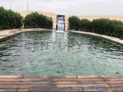 km 231 Panamericana Sur , Pisco, Ica 00001, 秘魯