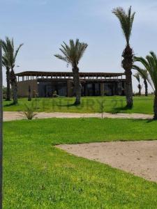 km 231 Panamericana Sur , Pisco, Ica 00001, 秘魯