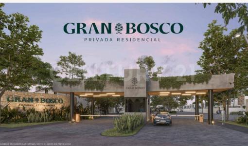 Carretera Cholul-Chicxulub, Mérida. s/n,, Conkal, ولاية يوكاتان 97345, المكسيك