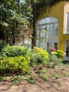 Inglaterra 120,, Coyoacán, Ciudad De México 04040, Mexico