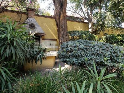 Inglaterra 120,, Coyoacán, Ciudad De México 04040, Mexico