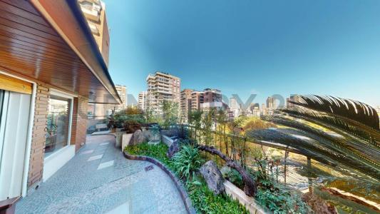 GELLY 3619, Palermo, Capital Federal 00001, Argentina