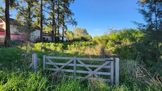 Exaltación De La Cruz, GBA Norte 6703, Argentina