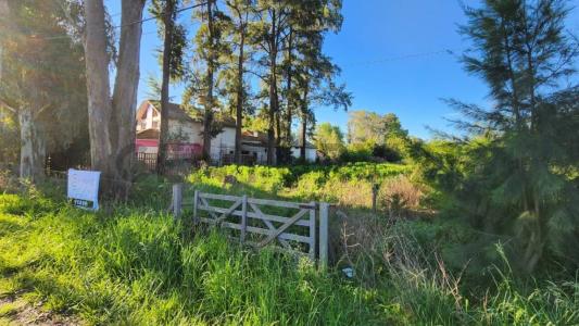 Exaltación De La Cruz, GBA Norte 6703, Argentine