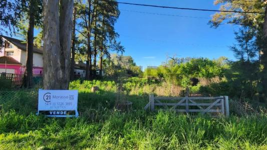 Exaltación De La Cruz, GBA Norte 6703, Argentine