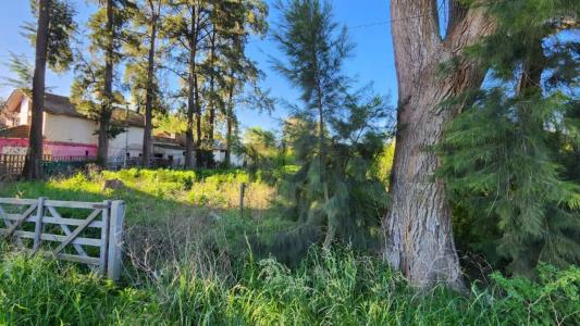 Exaltación De La Cruz, GBA Norte 6703, Argentine