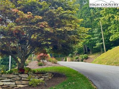 Tbd Bear Paw Road, Elk Park, NC 28622, USA