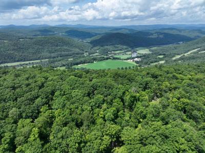 - Denio Road, Barnet, Vermont 05821, États-Unis