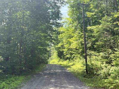 - Denio Road, Barnet, Vermont 05821, États-Unis