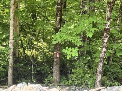 - Denio Road, Barnet, Vermont 05821, États-Unis