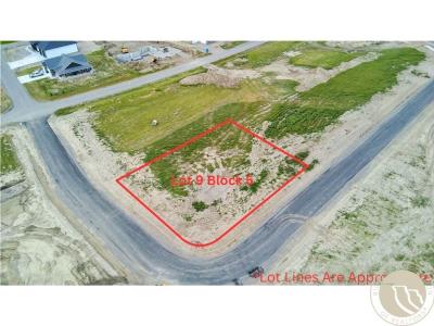Lot 9 Block 5 Cody Boy Street, Billings, Montana 59106, Stati Uniti
