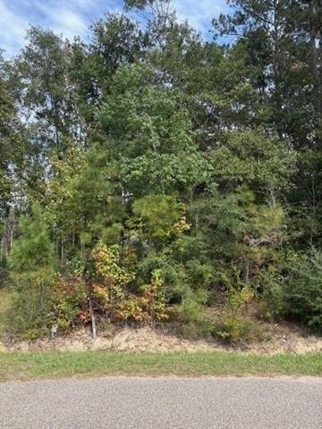 64400 JOSEPHINE Street, Pearl River, ルイジアナ 70452, アメリカ合衆国