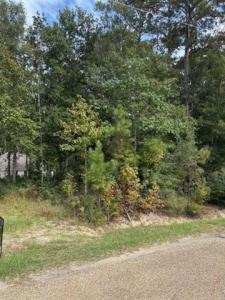 64400 JOSEPHINE Street, Pearl River, ルイジアナ 70452, アメリカ合衆国