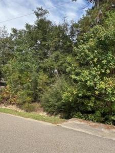 64400 JOSEPHINE Street, Pearl River, ルイジアナ 70452, アメリカ合衆国