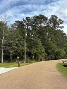 64400 JOSEPHINE Street, Pearl River, ルイジアナ 70452, アメリカ合衆国