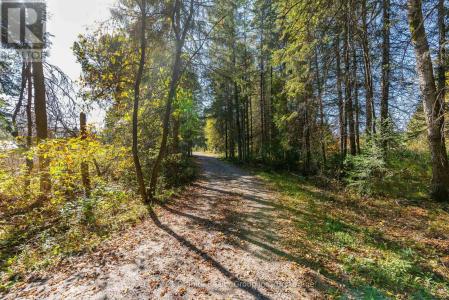 4739 GELERT ROAD, Minden Hills (snowdon), Ontario K0M 1S0, Kanada