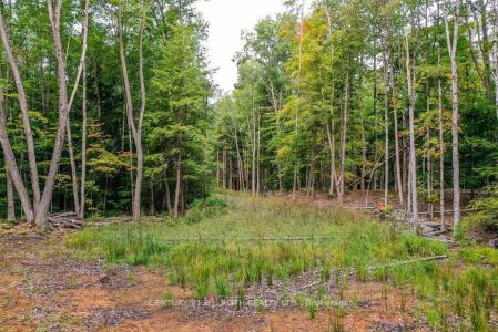 1019 DAVIS DRIVE, Gravenhurst, אונטריו P0E 1N0, קנדה