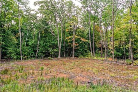 1019 DAVIS DRIVE, Gravenhurst, אונטריו P0E 1N0, קנדה