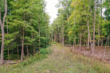 1019 DAVIS DRIVE, Gravenhurst, אונטריו P0E 1N0, קנדה