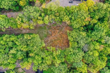 1019 DAVIS DRIVE, Gravenhurst, אונטריו P0E 1N0, קנדה