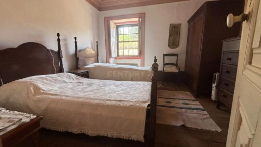 Castelo Branco, Castelo Branco 6005-270, Portogallo