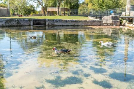 Condeixa A Nova, Coimbra 3150-211, Portugal