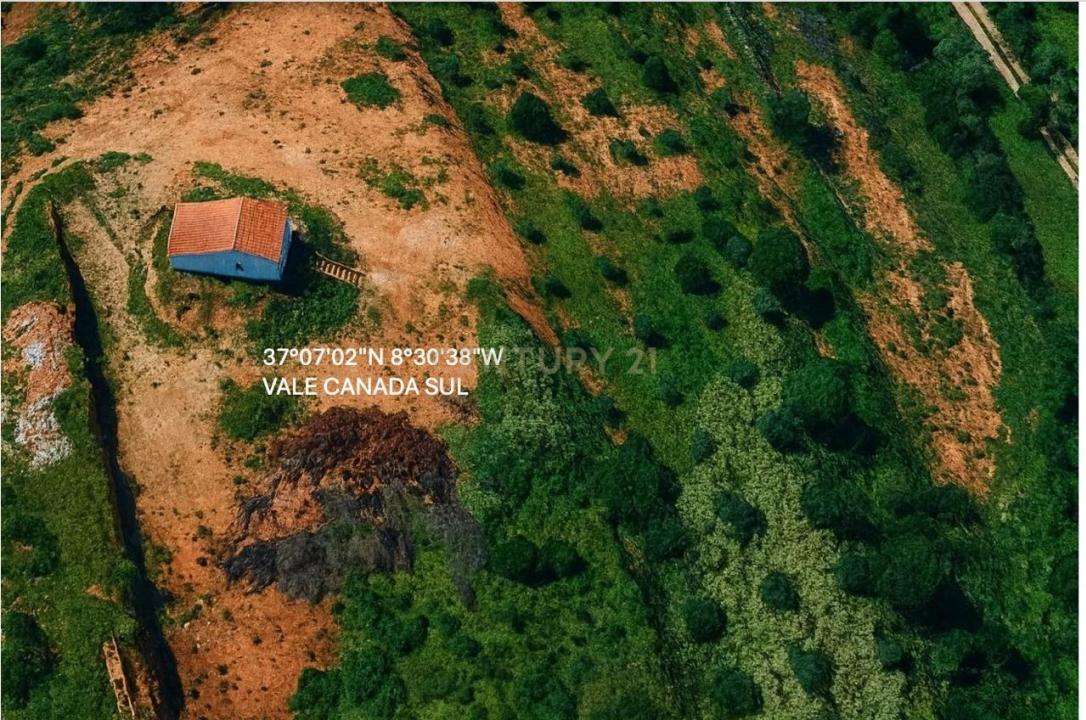 Lagoa, Faro 8400-221, Portugal