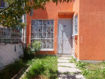 Laguna de Zumpango ,, Zumpango, 墨西哥州 55600, 墨西哥