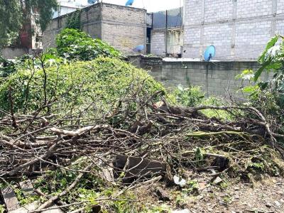 Tlalnepantla De Baz, Estado De México 54010, México