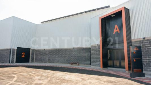 Morelia, Michoacán 58200, Mexico