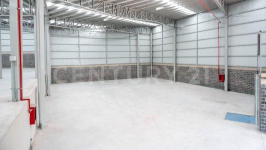 Morelia, Michoacán 58200, Mexico