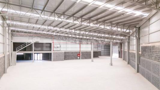 Morelia, Michoacán 58200, Mexico