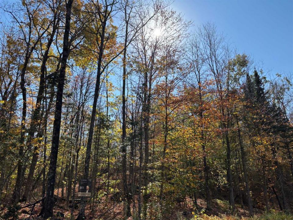 Ch. White, Harrington, Quebec J8G 2T3, CANADÁ