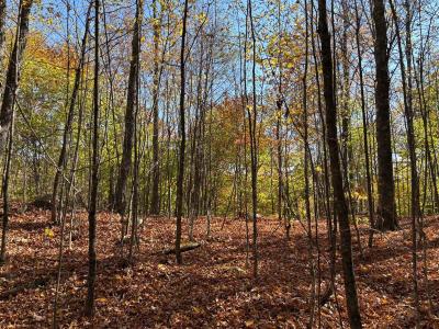 Ch. White, Harrington, Quebec J8G 2T3, CANADÁ