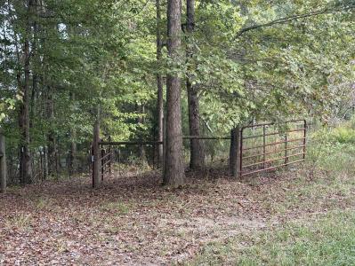 393 Humphreys Road, Philadelphia, Tennessee 37846