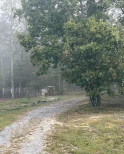 393 Humphreys Road, Philadelphia, Tennessee 37846