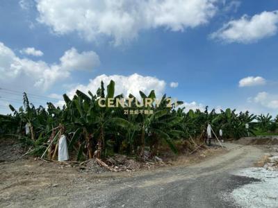 舊正西段, Wufeng Dist., Taichung City 413, Taiwan