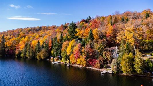 283 Ch. De Bellefeuille, Saint-Adolphe-d'Howard, Quebec J0T 2B0, Canadá