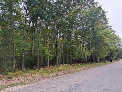 212 Pine Bluffs Road, Roscommon, Michigan 48653