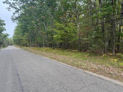 212 Pine Bluffs Road, Roscommon, Michigan 48653