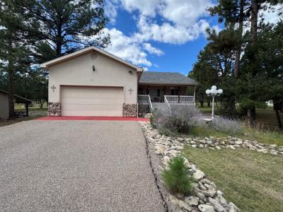102 Eagle Ridge Road, Alto, New Mexico 88312