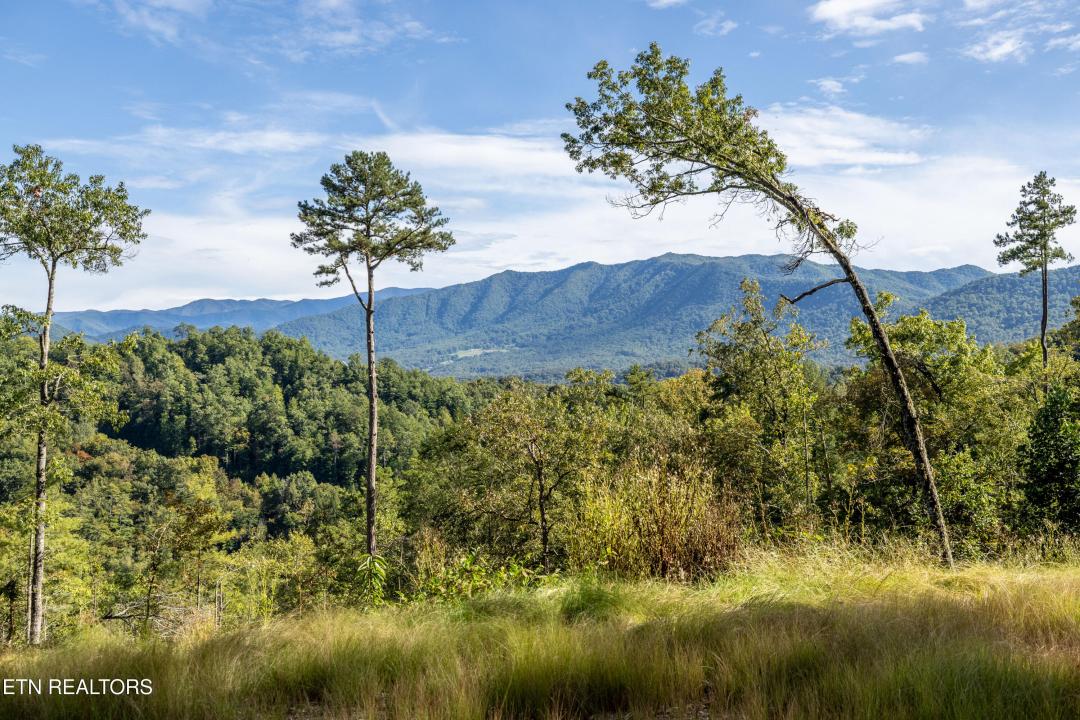 454 Mt. John Loop Rd, Townsend, טנסי 37882, ארצות הברית של אמריקה 