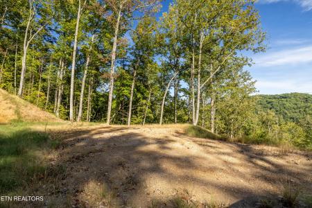 454 Mt. John Loop Rd, Townsend, טנסי 37882, ארצות הברית של אמריקה 