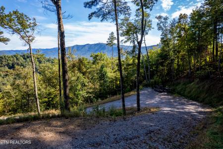 454 Mt. John Loop Rd, Townsend, טנסי 37882, ארצות הברית של אמריקה 