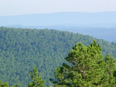 NE 155th Street, Red Oak, Оклахома 74563, Соединенные Штаты