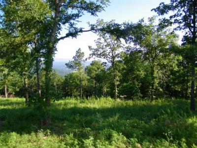 NE 155th Street, Red Oak, Oklahoma 74563, USA