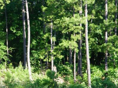 NE 155th Street, Red Oak, Oklahoma 74563, USA