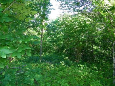 NE 155th Street, Red Oak, Oklahoma 74563, USA