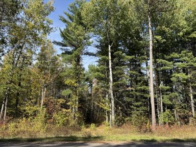 0660W HWY 51, Mercer, Wisconsin 54547, HOA KỲ