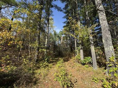 0660W HWY 51, Mercer, Wisconsin 54547, HOA KỲ